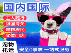 二连浩特赛乌素空运代理国际宠物托运 【国